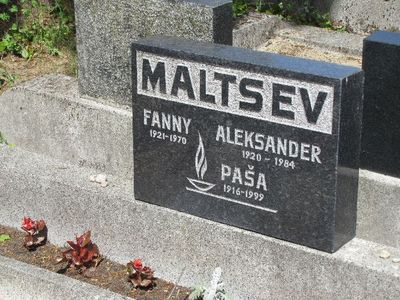 Maltsev
