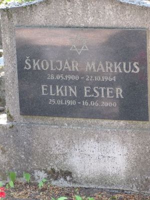 Schkoljar Elkin
