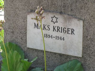 Kriger
