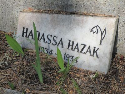 Hazak
