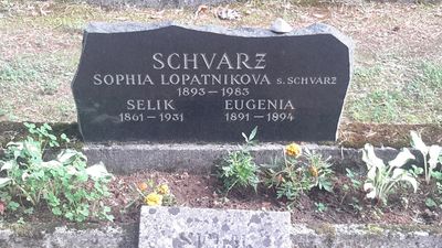 Schvarz Lopatnikov
