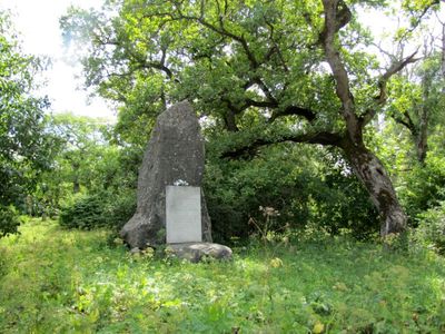 1. Over 80 people (including Jews) were killed here by nazis in 1941
We know that Leib and Rachel Ogus were killed here
