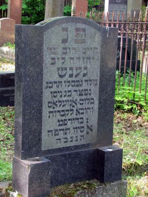 Gens Haim Dov Jehuda Leib
