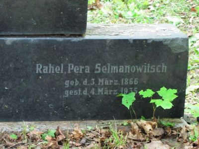 Selmanovitsch Rachel
